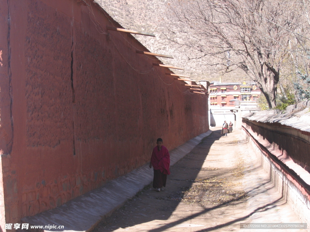 马路