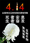 玉树常青