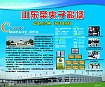 菜央子盐场菜博会展览喷绘