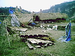 边城小风景