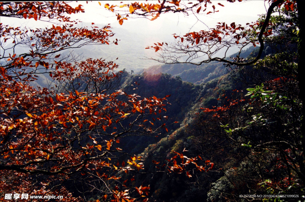 秋山