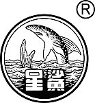 星鲨