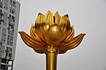 澳门金莲花
