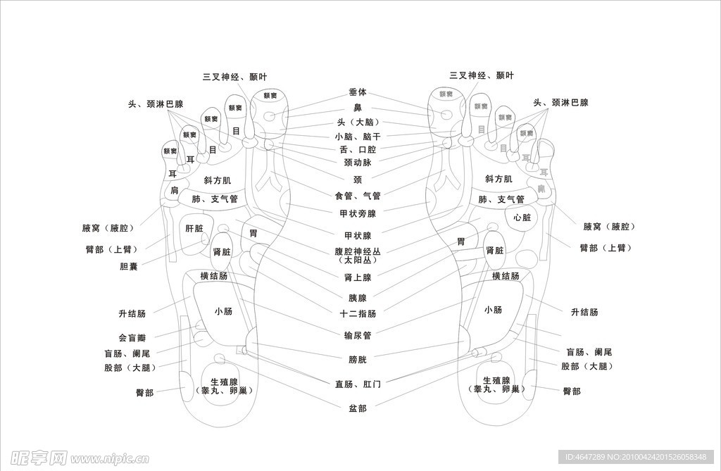 脚矢量