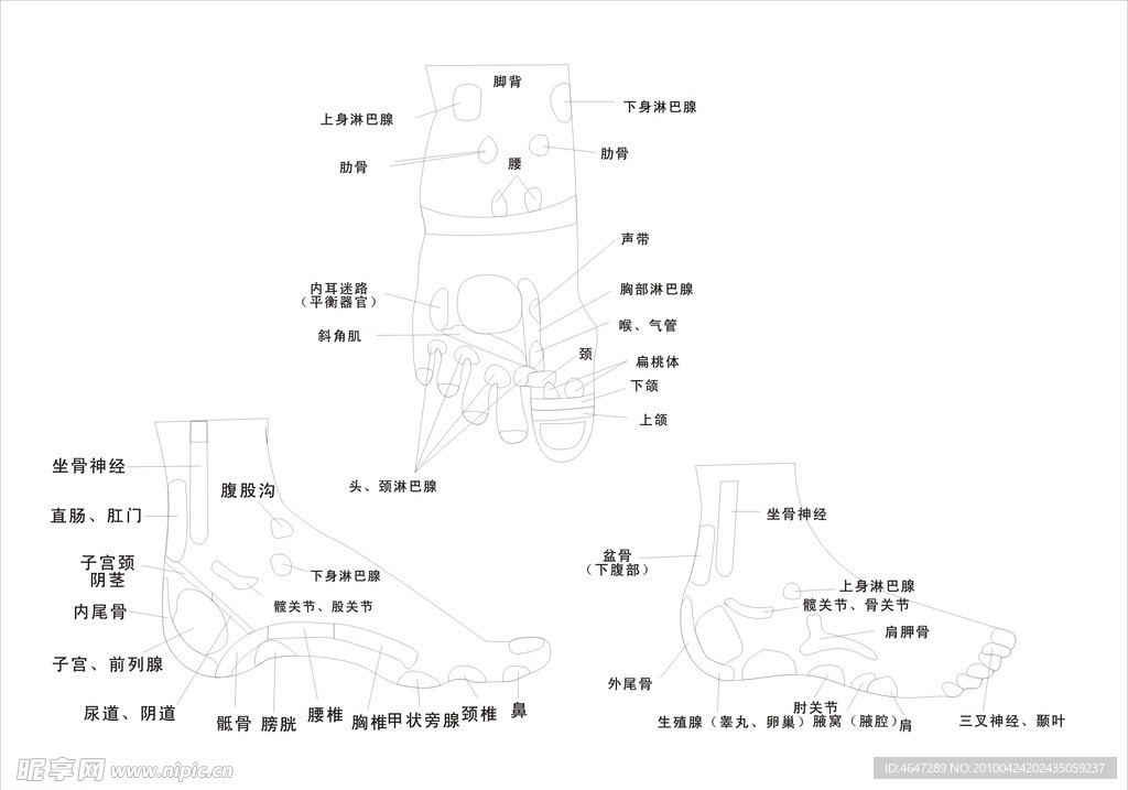 脚矢量