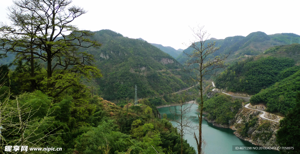宁波古树村