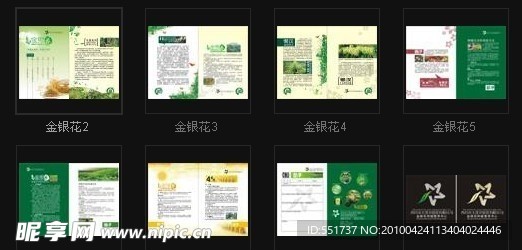 金银花画册
