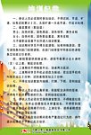 中国人民人寿保险