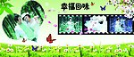婚庆 婚照 幸福 回味 蝴蝶 花 叶 心相印