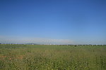 田园风光