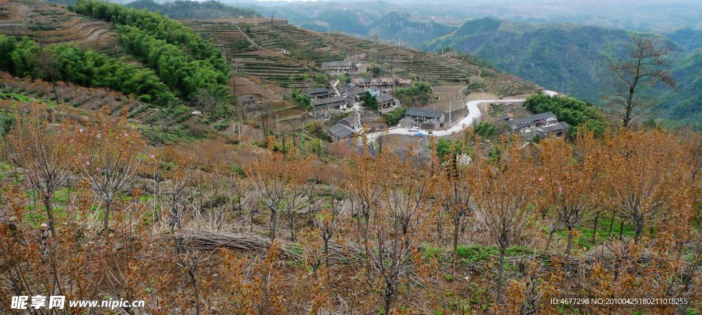 宁波杖锡村