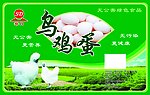 鸡蛋