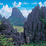 阳春风景