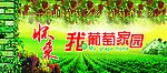 宣传栏