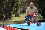 鹦鹉