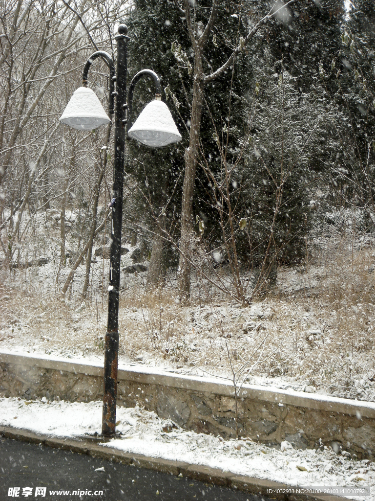 下雪 路灯 树林 积雪