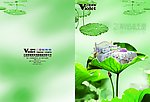 荷花 水景 梦幻 封面