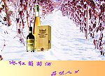 葡萄酒