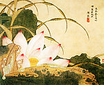 荷花图