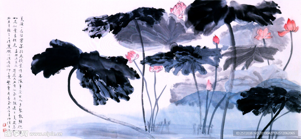 荷花图