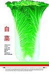 极简单的白菜海报