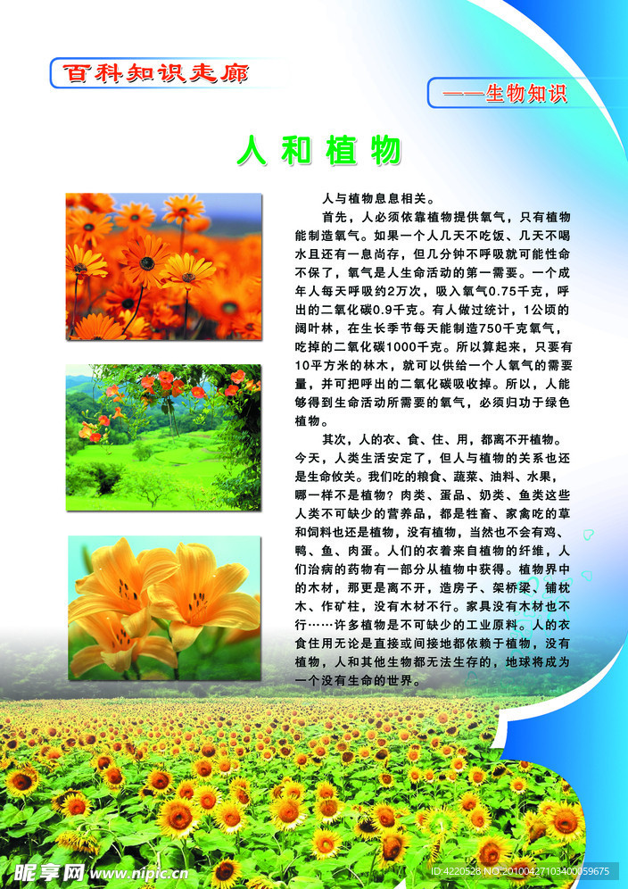学校百科知识展板