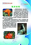 学校百科知识展板