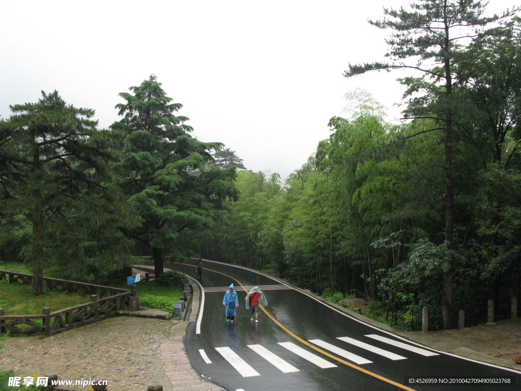 雨后黄山路