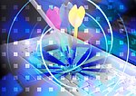 数码设计广告