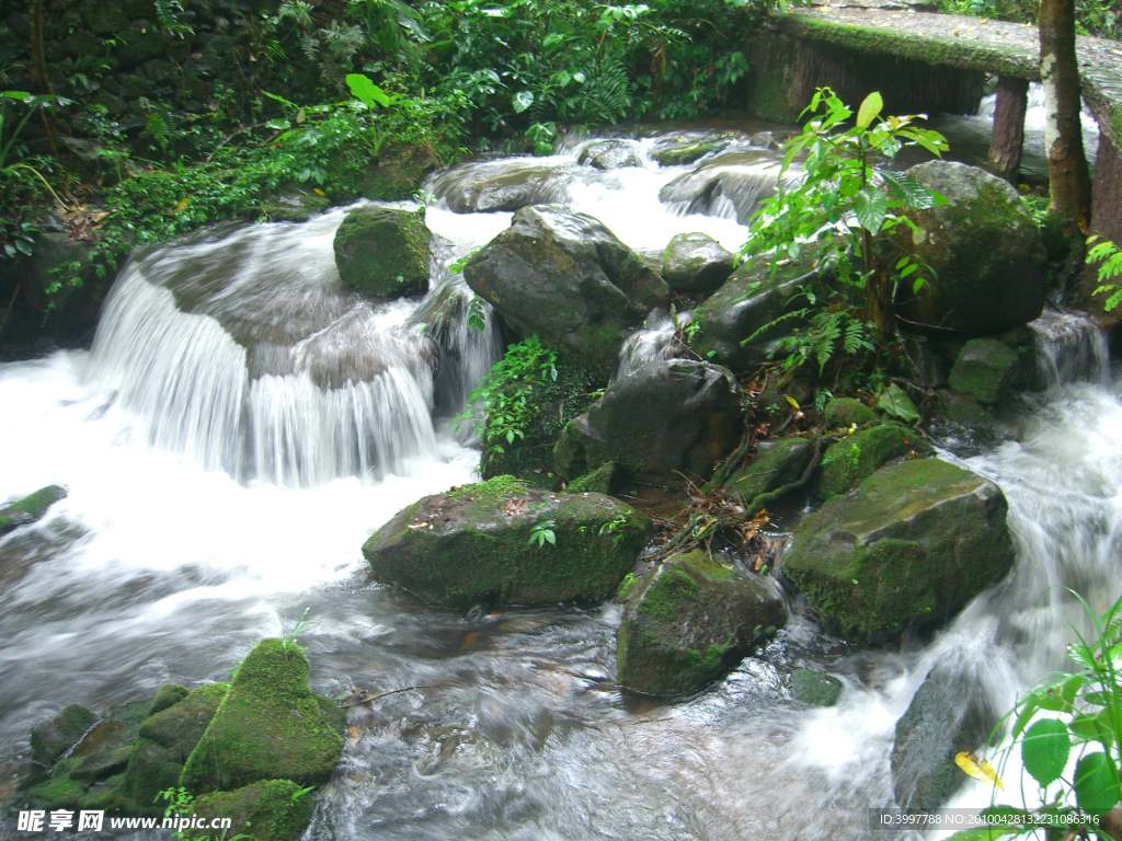 小溪流水