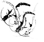 水墨画 虾