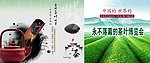 茶叶博览会