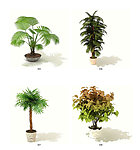 三维植物模型素材2