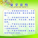 安全公约