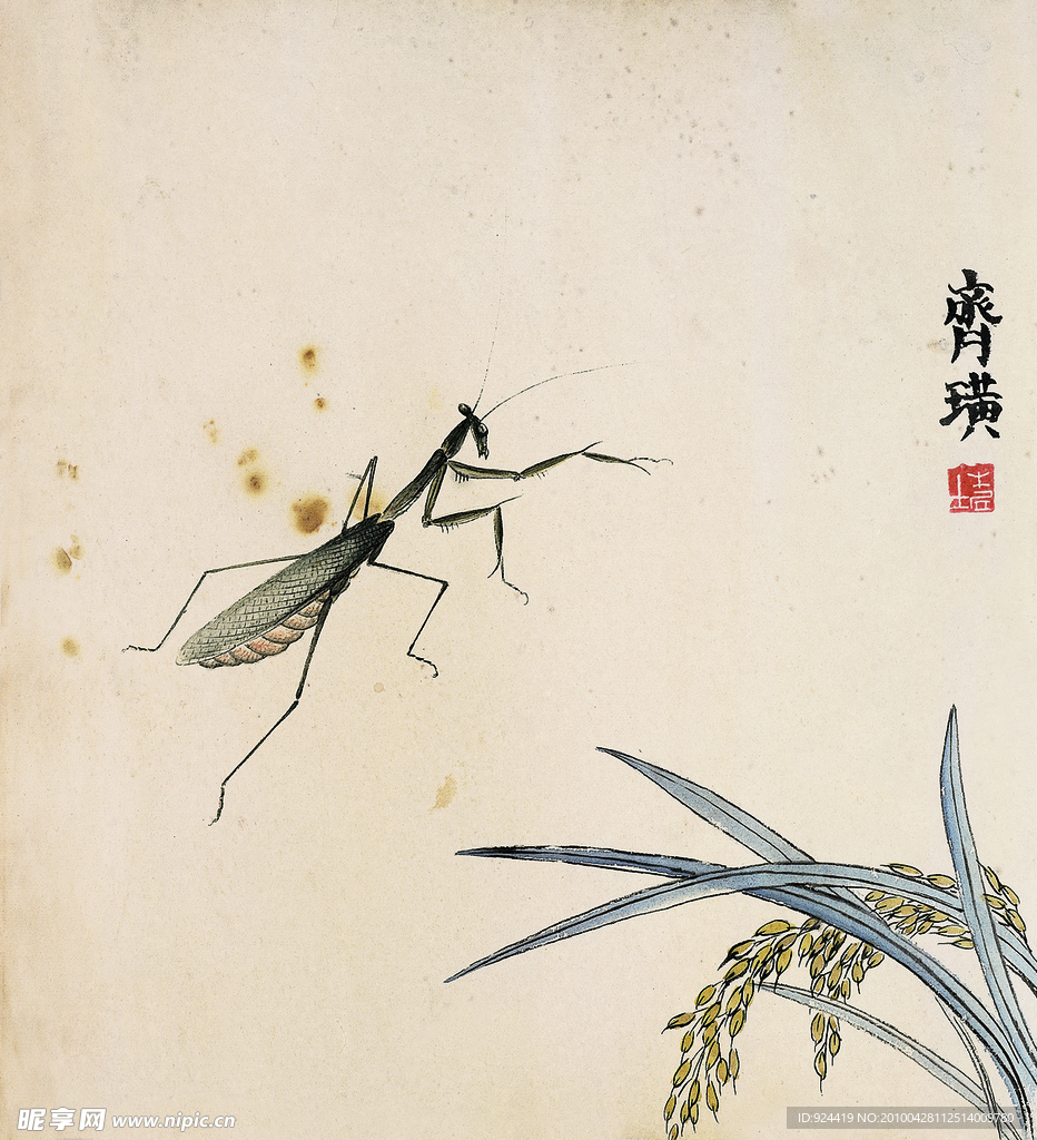 螳螂