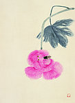采蜜