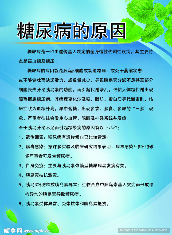 绿叶