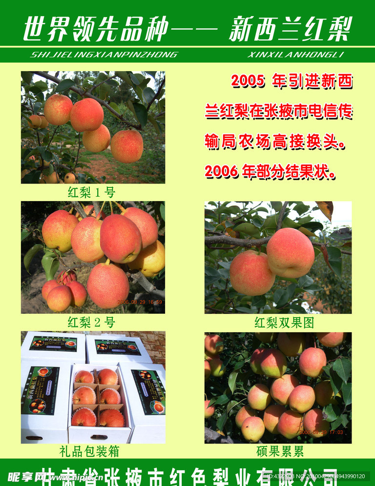 新西兰红梨