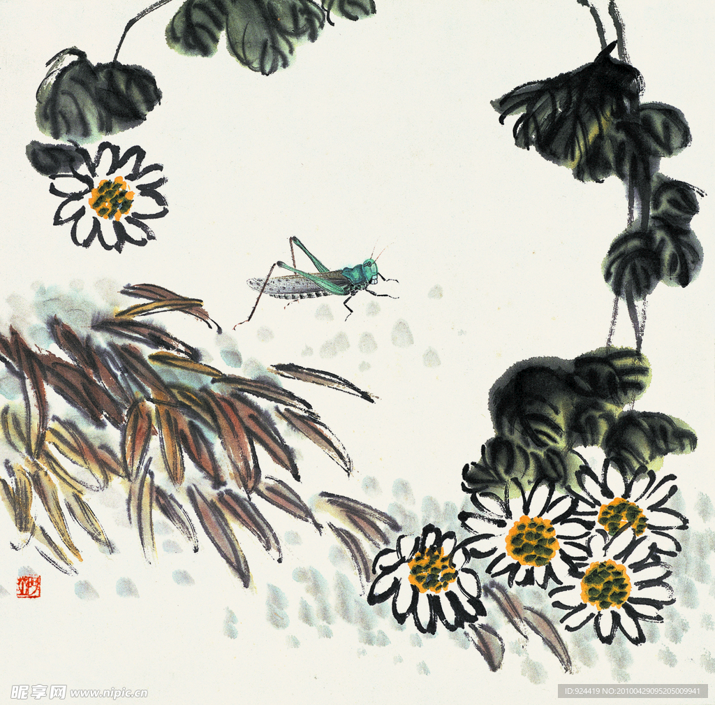 花草蝗虫