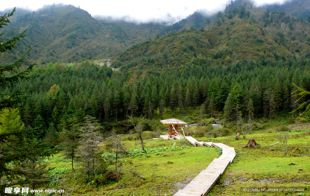 高山草原