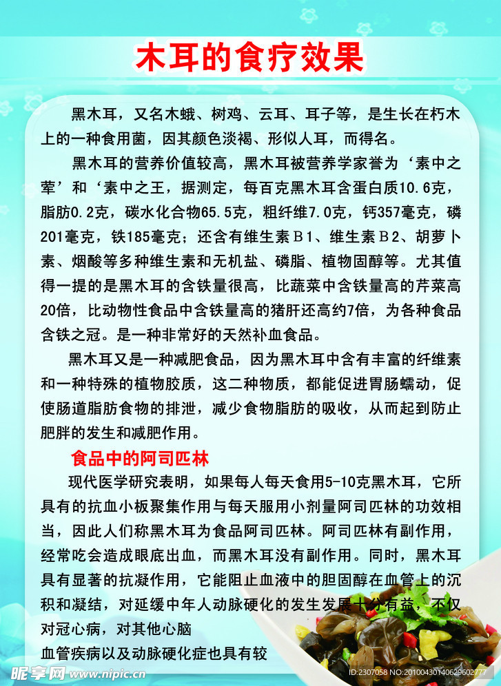 黑木耳