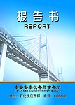 报告书