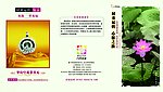 旅游传单设计