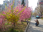 居民小区