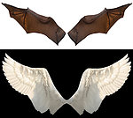 蝙蝠翅膀照片 鸽子翅膀照片 翅膀照片 天使之翼 素材