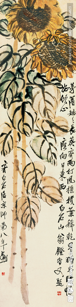 向日葵