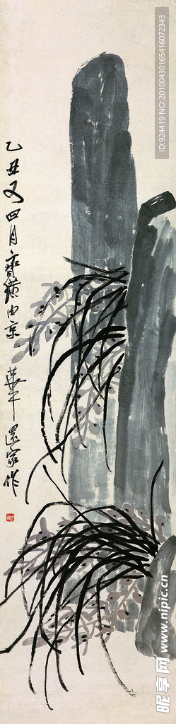 山石兰花
