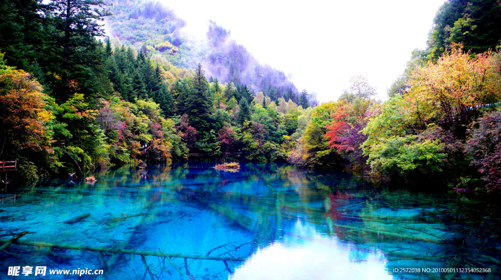 五花海