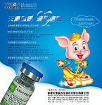 可爱小猪