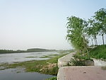风景